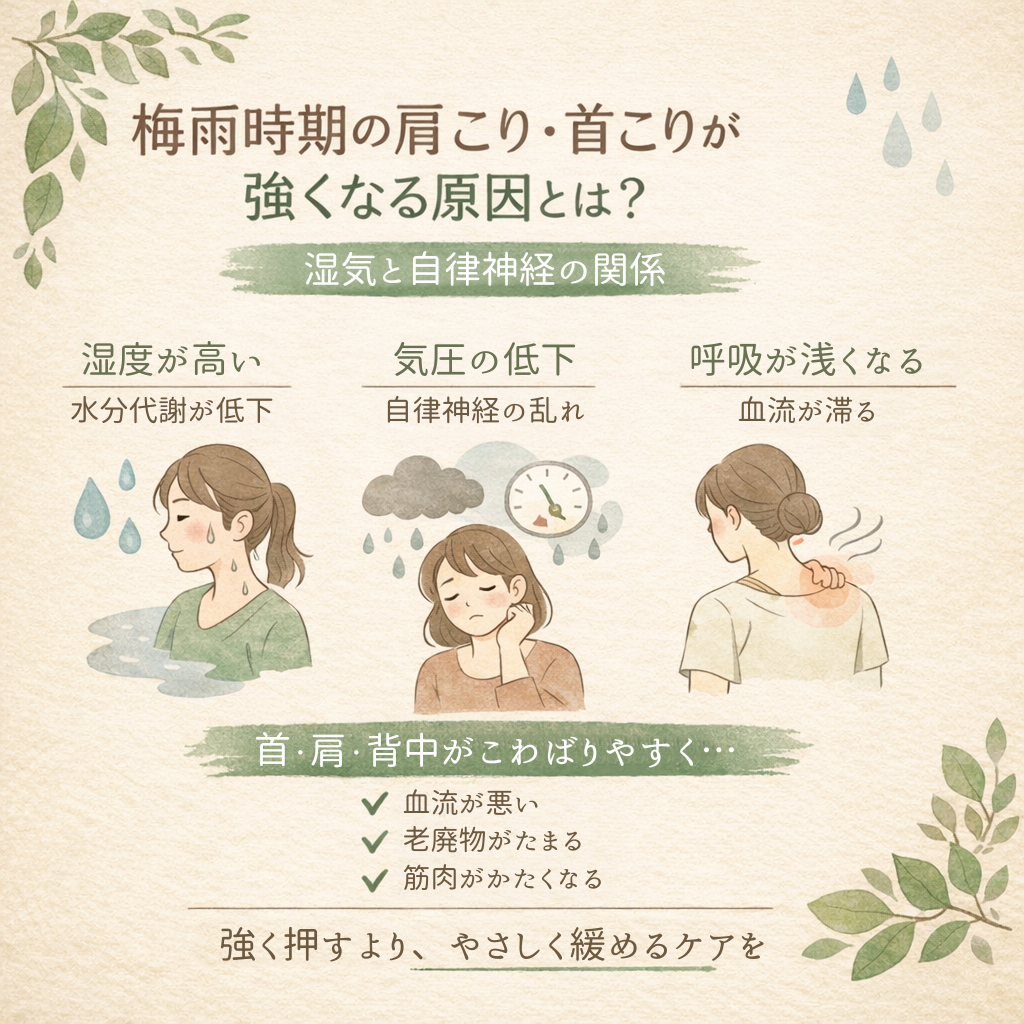 梅雨時期に肩こりや首こりが強くなる原因(湿気・気圧低下・自律神経の乱れ)を解説するイラスト