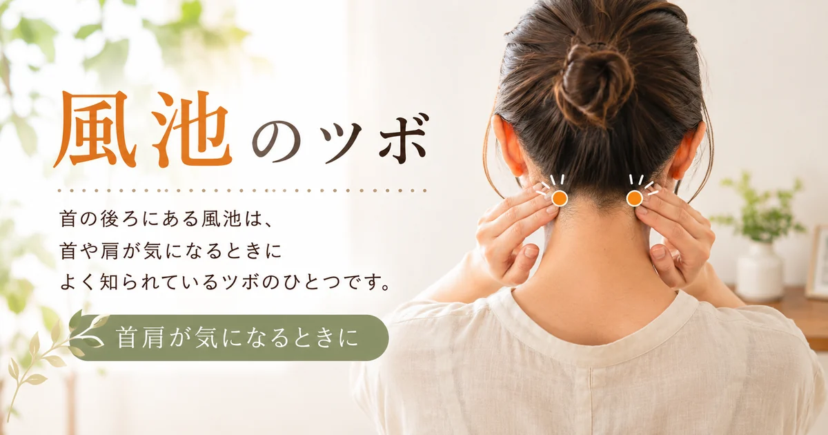 風池のツボと首肩ケア