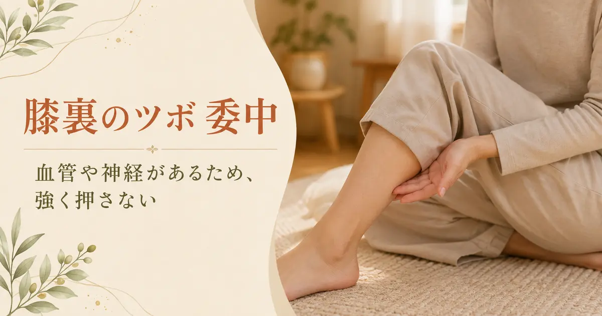 膝裏のツボ「委中」