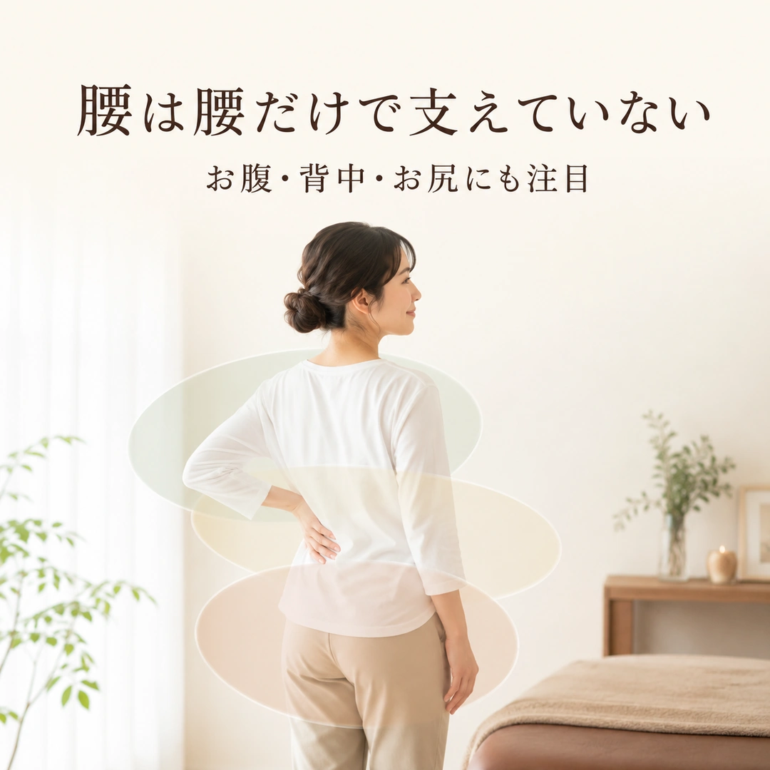腰は腰だけで支えていないことを伝える画像。お腹・背中・お尻を含む体のつながりと腰の疲れを、瀬戸市のリラクゼーションルーム シエスタ瀬戸西店が紹介
