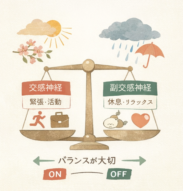 季節の変わり目に乱れやすい自律神経のバランス図（交感神経と副交感神経）